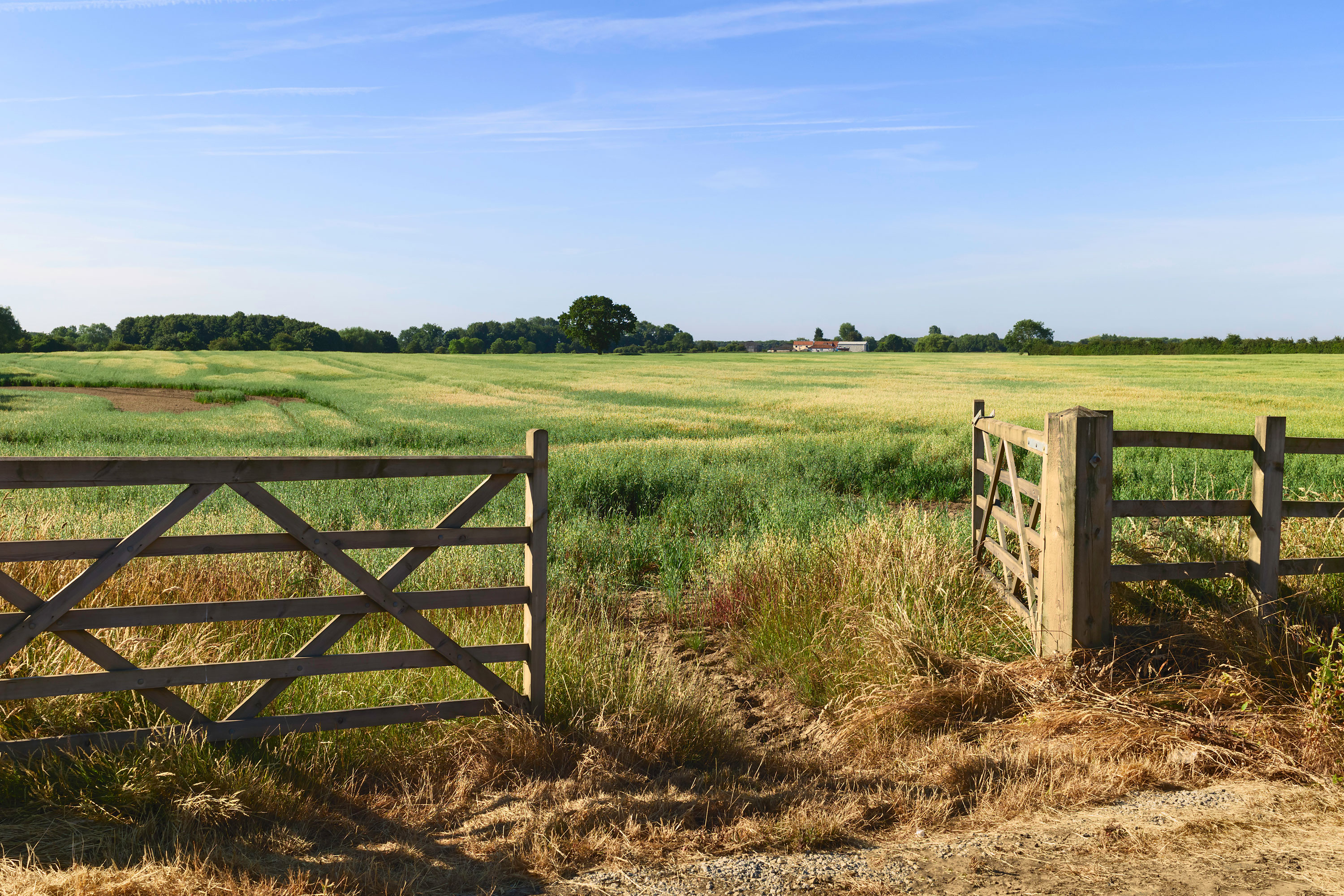 Empty plot of land